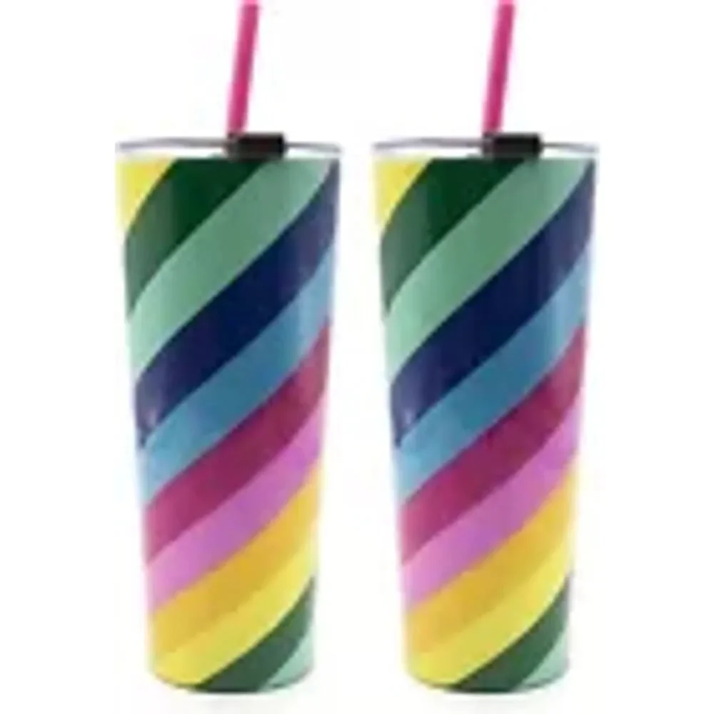 NEW 2-Pack: Cambridge 24 oz Insulated Tumblers with Straw